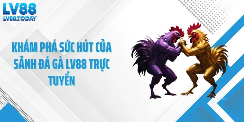 Khám phá sức hút của sảnh đá gà LV88 trực tuyến