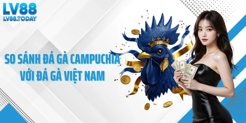 So sánh đá gà Campuchia với đá gà Việt Nam